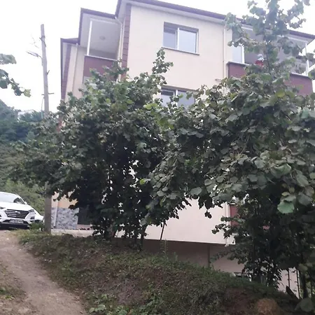 Memis Apartment