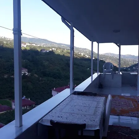 Memis * Trabzon